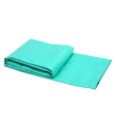 Factory direct sales PE Tarpaulin (145)