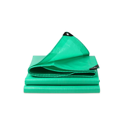 Factory direct sales PE Tarpaulin (15)